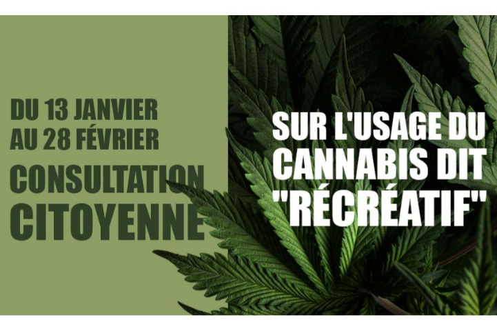 Saint-Barth - Consultation citoyenne sur l'usage du cannabis dit récréatif