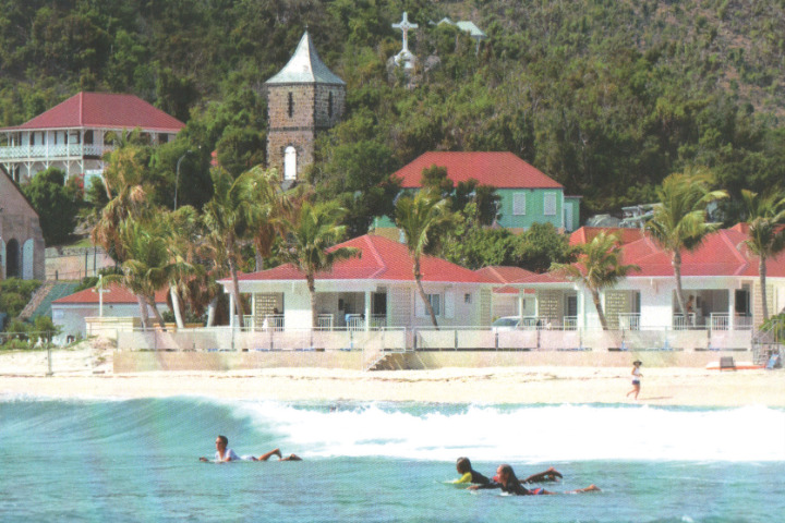 Saint-Barth - Les mouettes apre?s Irma en 2018.