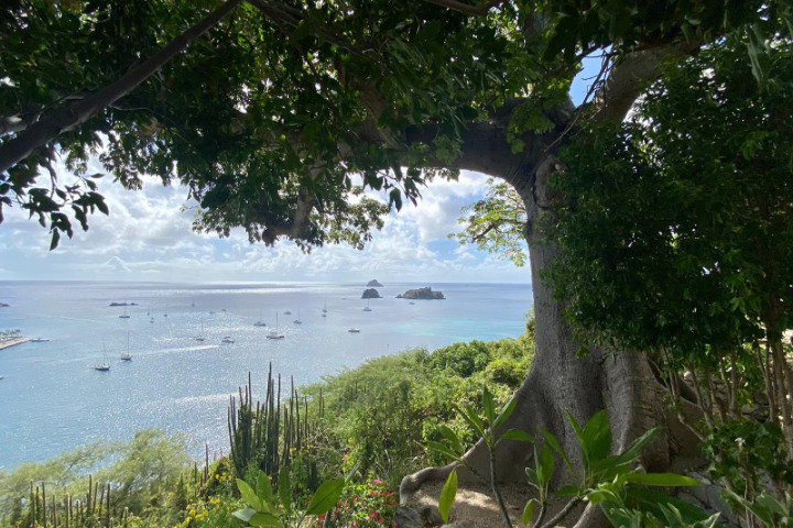 Saint-Barth - fromager Phare