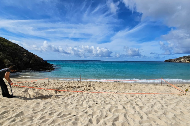 Saint-Barth - 