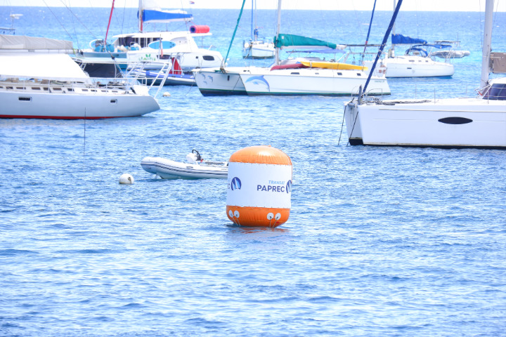 Saint-Barth - Transat Paprec bouée