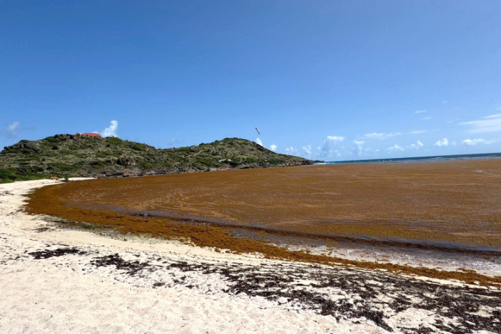 Saint-Barth - 