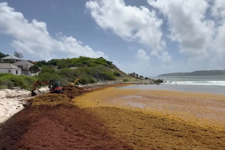 Saint-Barth - 