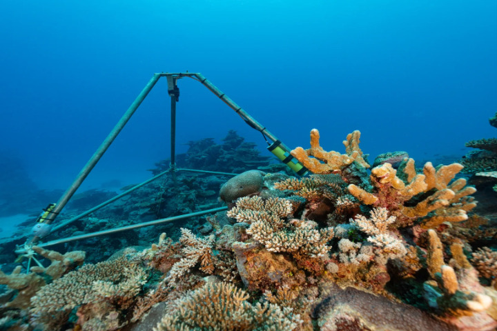 Saint-Barth - ATE hydrophones