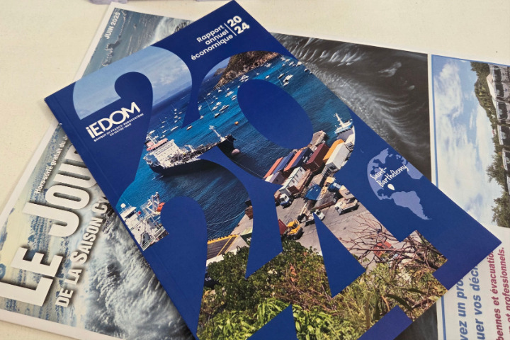 Saint-Barth - Rapport Iedom