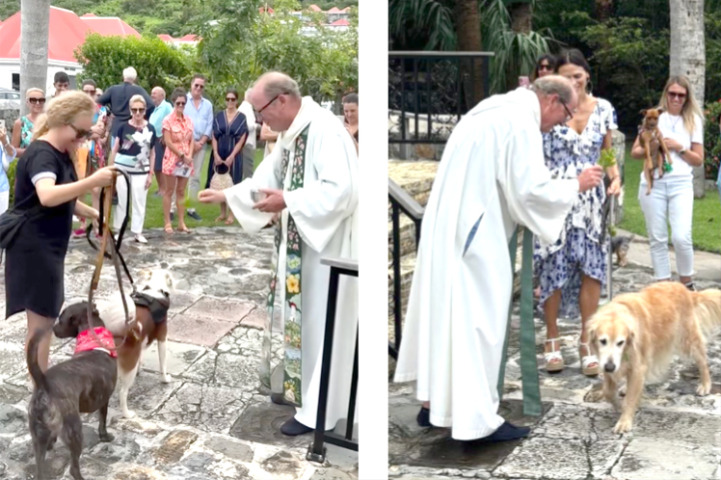 Saint-Barth - Eglise anglicane animaux benediction