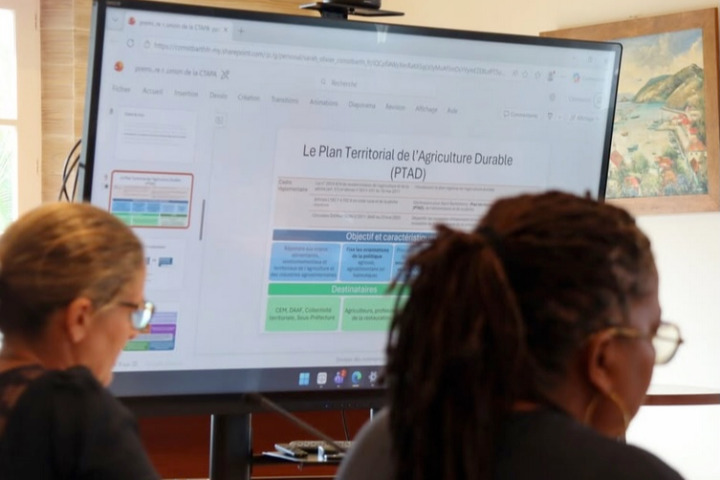 Saint-Barth - cem agriculture peche