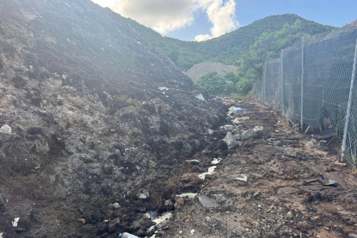 Saint-Barth - Sargasses saint-Jean 