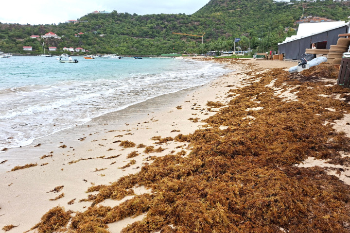 Saint-Barth - 