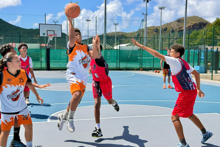 Saint-Barth - Basket Pelican