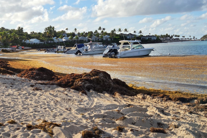 Saint-Barth - 