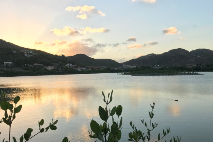 Saint-Barth - étang Saint-Jean