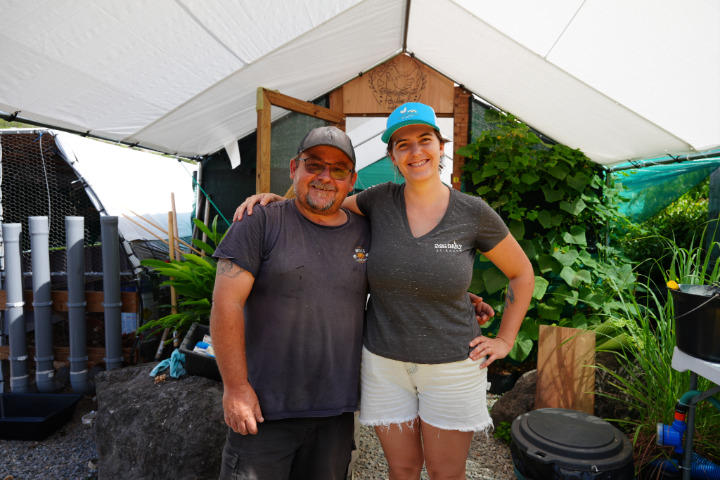 Saint-Barth - Poules et potager 